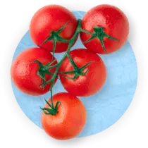 Close up of a bunch of ripe red tomatoes on blue background.