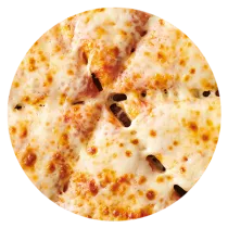 Primer plano de una pizza de queso.